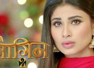 Naagin 2 Written Updates 4th February 2017 Written Updates: Shivangi & Shesha Saves Rocky Together