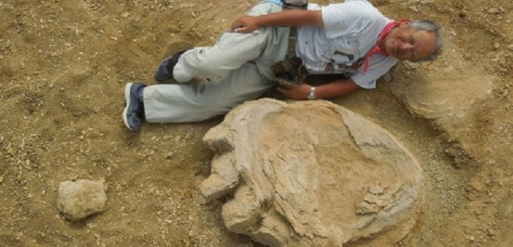 japanese-and-mongolian-archaeologists-discover